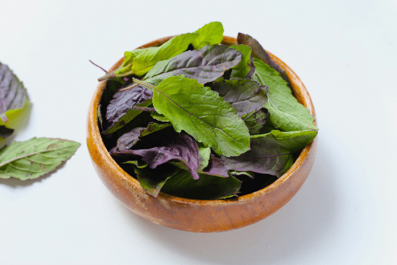 Por ser naturalmente livre de cafe&iacute;na, o tulsi pode ser uma alternativa para quem deseja reduzir o consumo da subst&acirc;ncia 