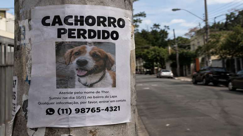 Cachorro escapou e ficou preso no quintal do vizinho ao lado.
