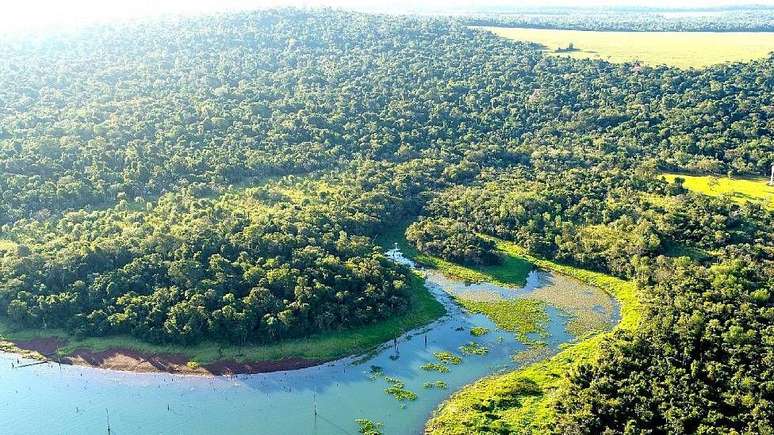 O lago de Itaipu est&aacute; localizado na Floresta Atl&acirc;ntica do Alto Paran&aacute;, um dos ecossistemas mais ricos em biodiversidade do mundo
