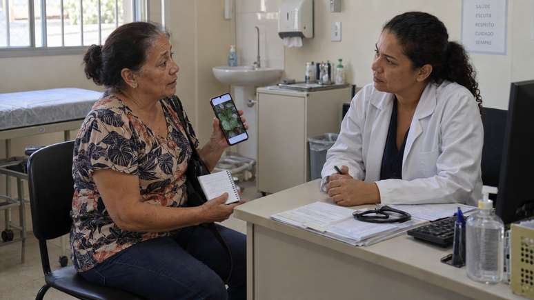 Identifica&ccedil;&atilde;o correta e orienta&ccedil;&atilde;o profissional s&atilde;o essenciais antes de consumir plantas.