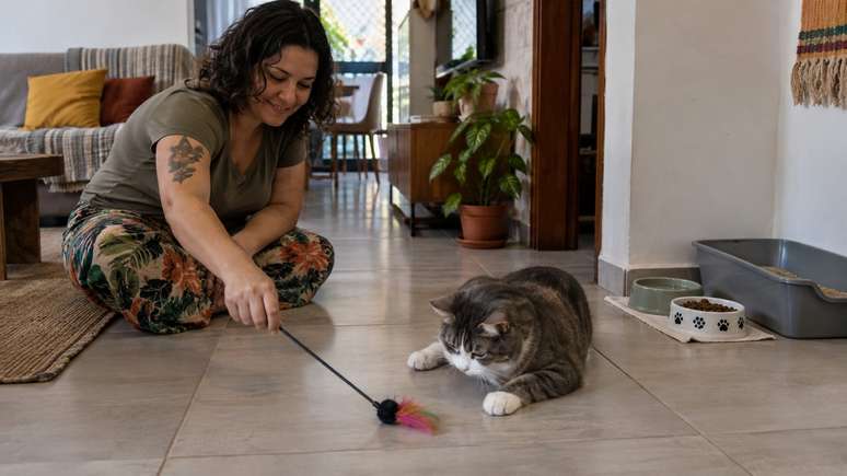Brincadeiras adaptadas ajudam, mas n&atilde;o substituem avalia&ccedil;&atilde;o veterin&aacute;ria quando h&aacute; sinais persistentes.