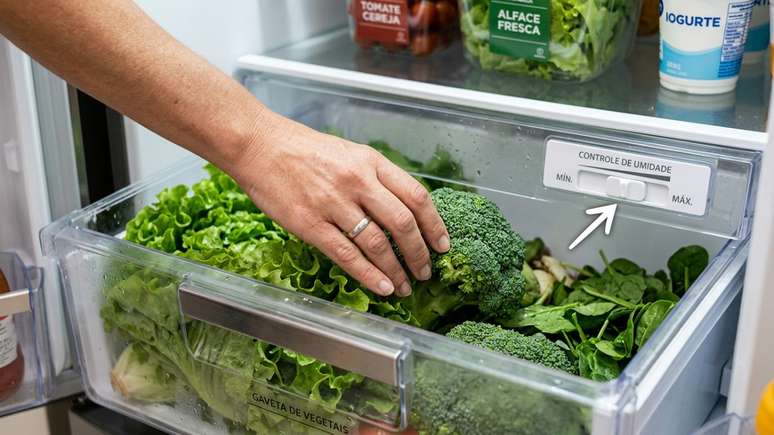 O controle adequado da ventila&ccedil;&atilde;o interna garante maior durabilidade e croc&acirc;ncia para verduras como alface e espinafre.