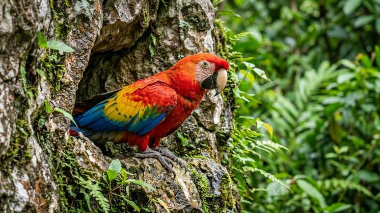 O santu&aacute;rio ecol&oacute;gico abriga diversas esp&eacute;cies de aves livres que cruzam o c&eacute;u em busca de seus ninhos naturais.