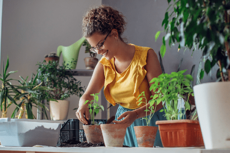 Plantar uma semente pode representar simbolicamente o in&iacute;cio de um projeto ou transforma&ccedil;&atilde;o 