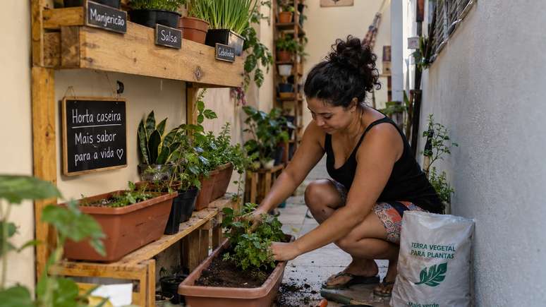 Medir luz e espa&ccedil;o evitou escolhas ruins para o cultivo