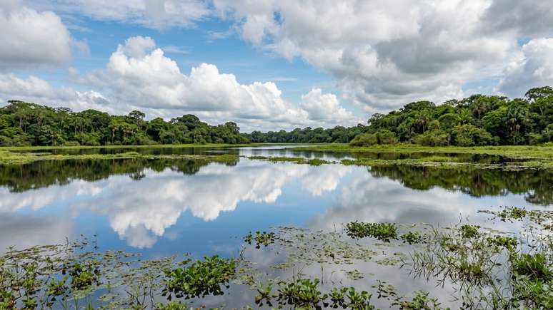 A preserva&ccedil;&atilde;o deste santu&aacute;rio natural impulsiona a conserva&ccedil;&atilde;o e o ecoturismo respons&aacute;vel.