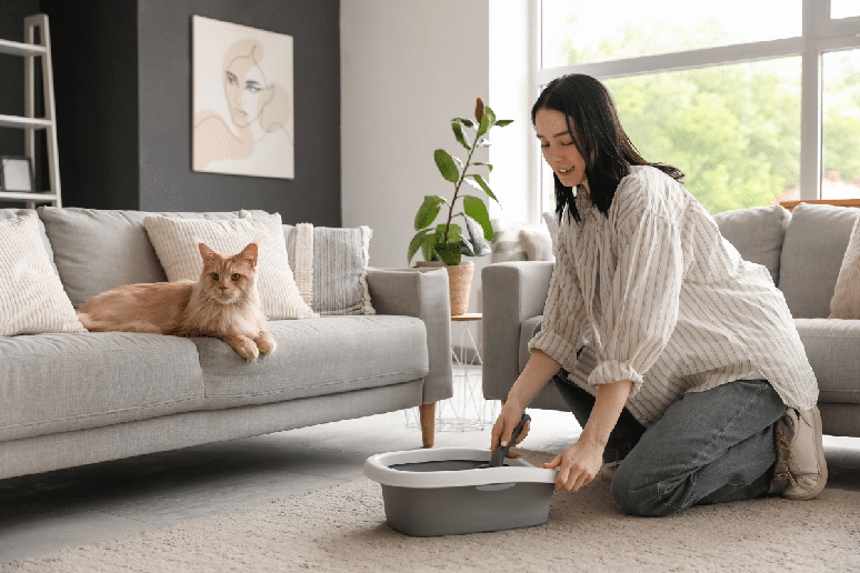 O pet sitter deve respeitar os hor&aacute;rios dos pets e seguir as orienta&ccedil;&otilde;es fornecidas pelo tutor 