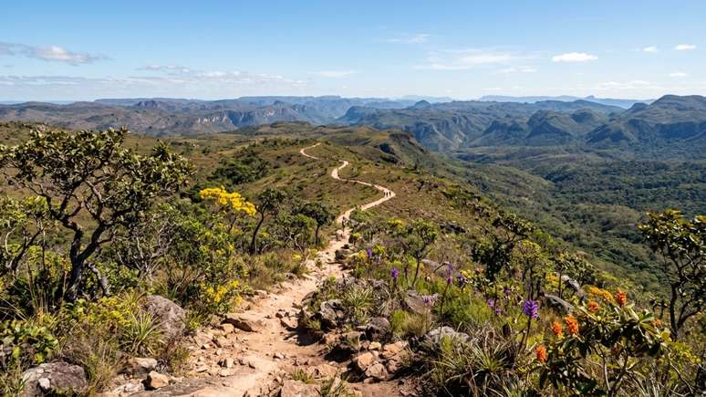 A visita&ccedil;&atilde;o consciente impulsiona o desenvolvimento sustent&aacute;vel das comunidades instaladas nos munic&iacute;pios vizinhos &agrave; reserva ecol&oacute;gica.