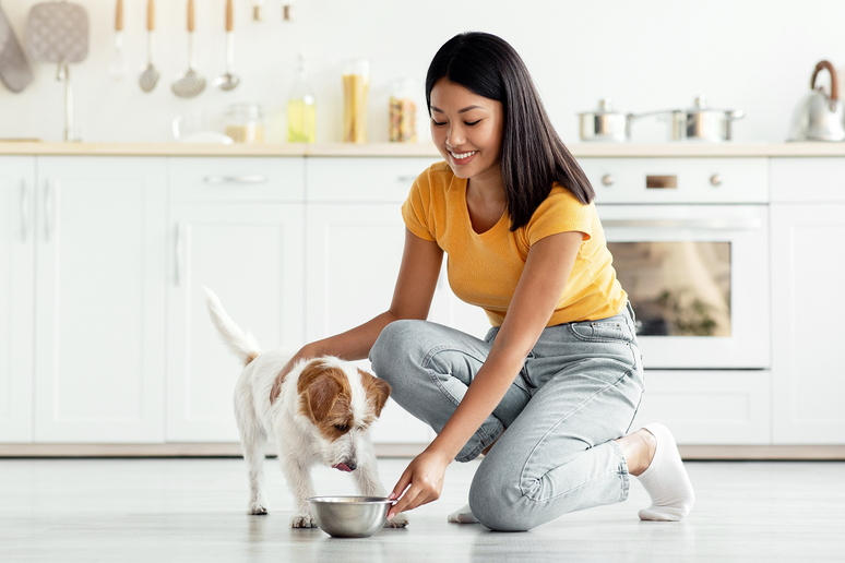 Diagn&oacute;stico precoce e alimenta&ccedil;&atilde;o adequada podem contribuir para a qualidade de vida e o bem-estar do c&atilde;o 