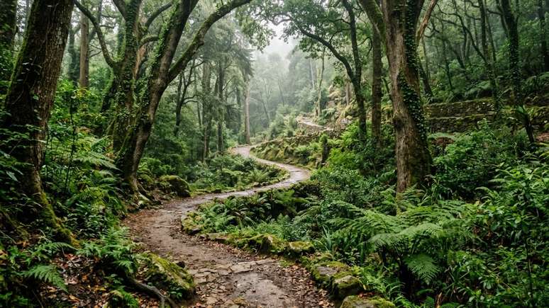 A Paisagem Cultural de Sintra &eacute; um Patrim&ocirc;nio Mundial que preserva a hist&oacute;ria europeia.