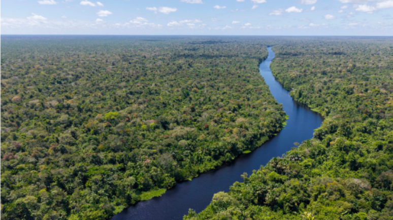 Agenda clim&aacute;tica aparece em 12 das 13 propostas dos candidatos &agrave; Presid&ecirc;ncia da Rep&uacute;blica
