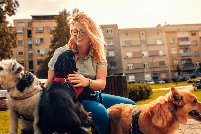 O passeador deve ter aten&ccedil;&atilde;o constante com os pets durante os passeios 