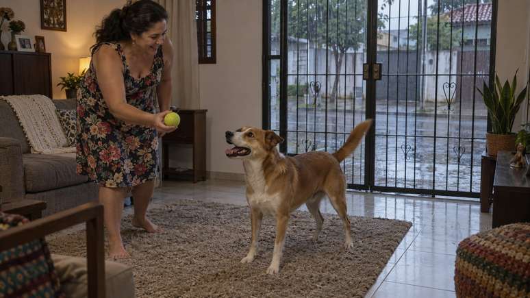Encontros repetidos criaram uma rotina antecipada pelo comportamento do animal.