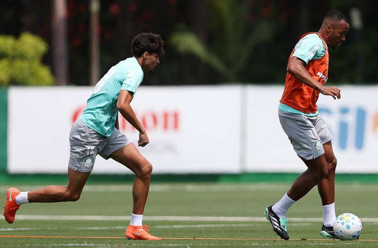 Palmeiras se prepara para a reta final da temporada &ndash;