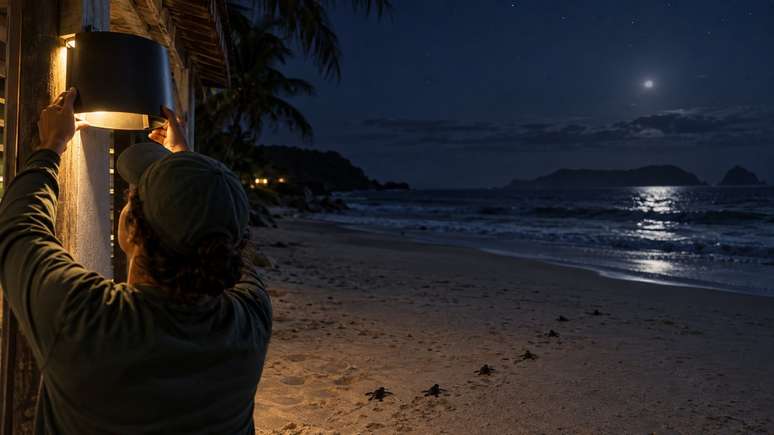 Ilumina&ccedil;&atilde;o artificial pode fazer pequenas tartarugas seguirem pelo caminho errado.