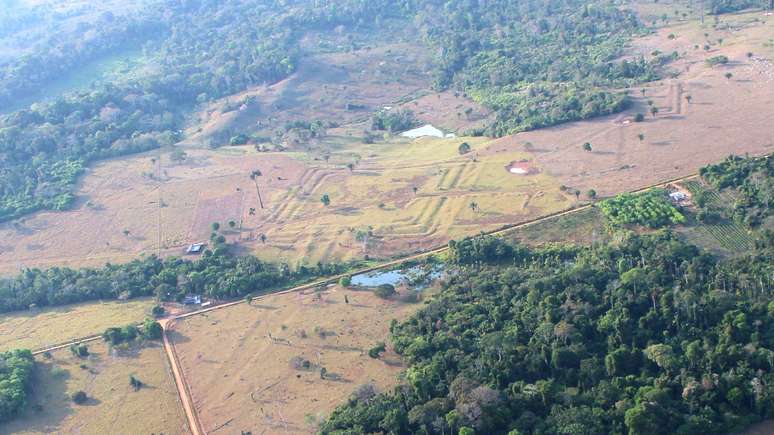 Antes, geoglifos s&oacute; eram vis&iacute;veis em &aacute;reas que j&aacute; haviam sido desmatadas
