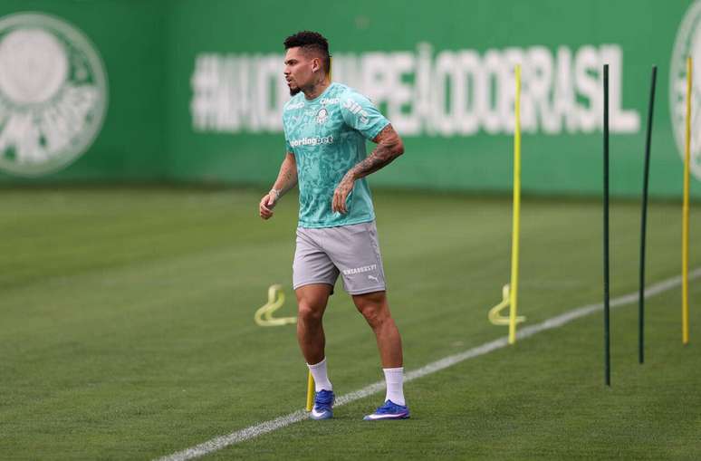 Paulinho segue cronograma de recupera&ccedil;&atilde;o no Palmeiras &ndash;