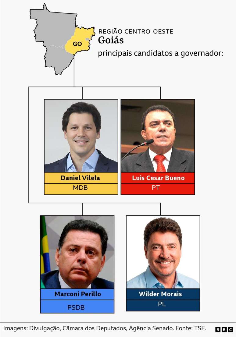 principais candidatos a governador - Goi&aacute;s