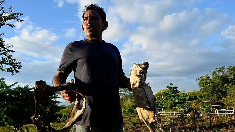 Desde a intensifica&ccedil;&atilde;o da seca, em junho, Darwin Cruz precisou vender duas das suas vacas leiteiras e outra morreu