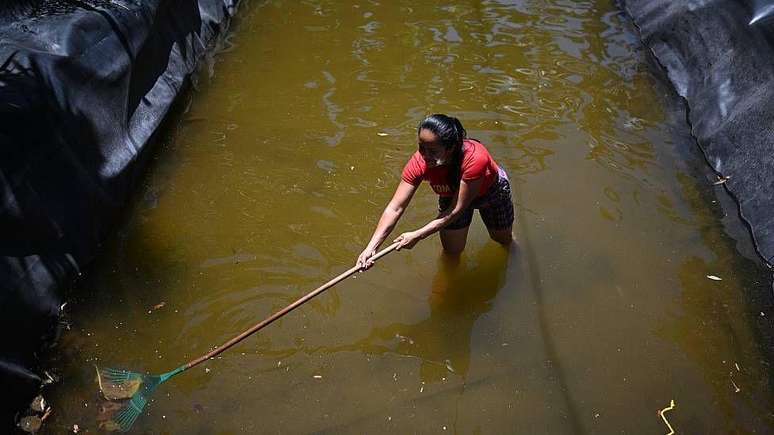 Em El Matazano, no Departamento de Moraz&aacute;n (leste de El Salvador), Mar&iacute;a del Carmen Portillo limpa o tanque que abastecia dezenas de fam&iacute;lias e onde havia cria&ccedil;&atilde;o de til&aacute;pias. Agora, n&atilde;o h&aacute; peixes e a &aacute;gua &eacute; armazenada para usos priorit&aacute;rios.