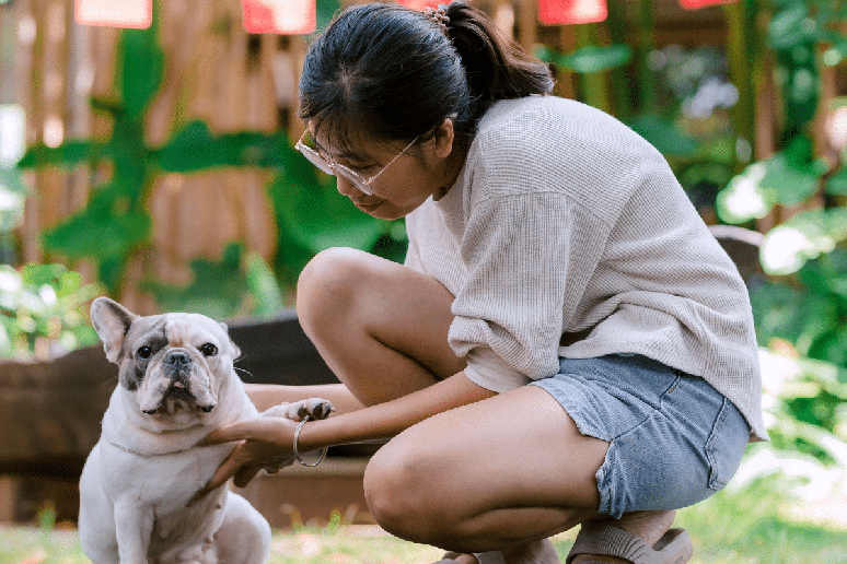 Lambedura constante pode deixar as patas &uacute;midas e irritadas, favorecendo a prolifera&ccedil;&atilde;o de bact&eacute;rias e fungos e agravando inflama&ccedil;&otilde;es 