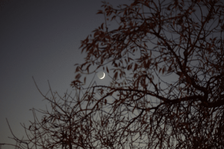 A Lua Minguante &eacute; mais bem observada entre o fim da madrugada e o come&ccedil;o da manh&atilde; 