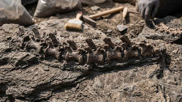 Pesquisadores confirmam a presen&ccedil;a de gigantes jur&aacute;ssicos na Europa ap&oacute;s an&aacute;lise detalhada de ossos f&oacute;sseis na Espanha.