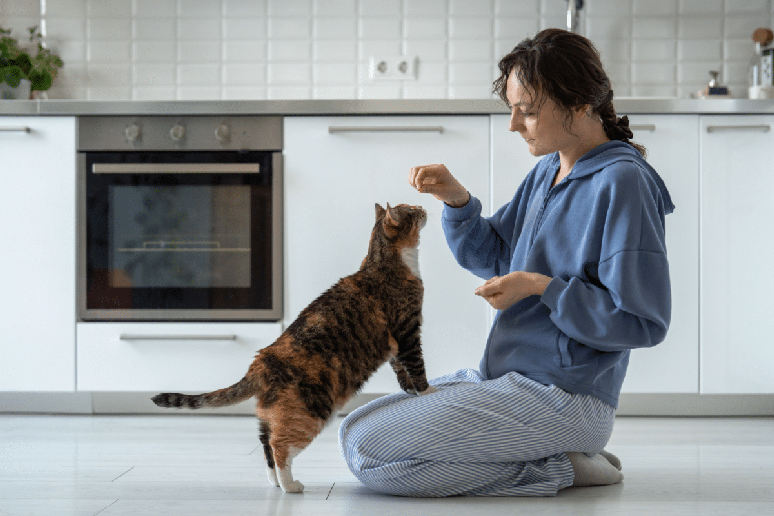 A composi&ccedil;&atilde;o da dieta deve considerar as necessidades nutricionais e as condi&ccedil;&otilde;es de sa&uacute;de de cada animal 