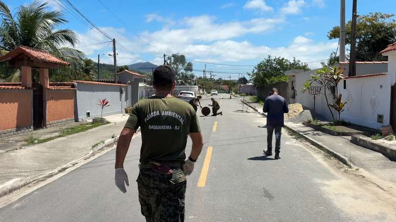 Guardas ambientais de Saquarema (RJ) fazem o resgate de um jacar&eacute;-de-papo-amarelo que estava dentro de bueiro
