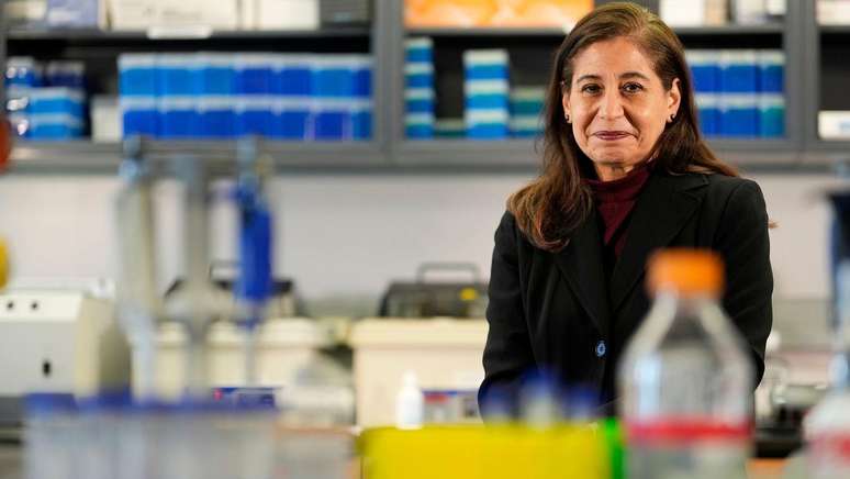 No seu laborat&oacute;rio, Walss-Bass cultiva, a partir de c&eacute;lulas da pele, 'minic&eacute;rebros' para estudar a influ&ecirc;ncia do estresse do ambiente no genoma