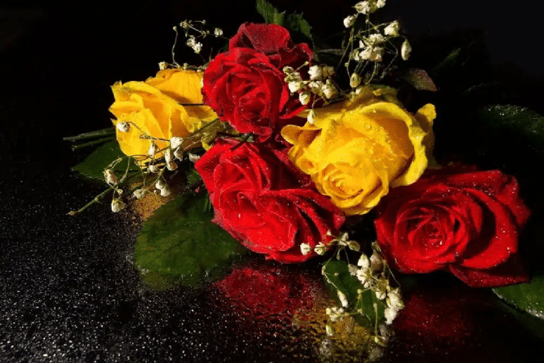 As rosas-amarelas e vermelhas s&atilde;o um &oacute;timo presente para Nossa Senhora Aparecida 
