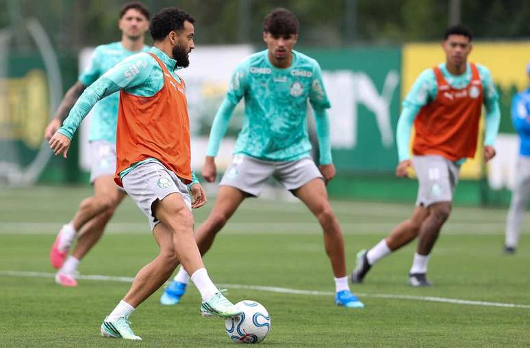 Palmeiras inicia prepara&ccedil;&atilde;o para a semifinal da Libertadores contra o Fluminense &ndash;