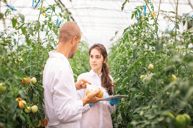 O engenheiro agr&ocirc;nomo pode atuar em &aacute;reas relacionadas a pr&aacute;ticas sustent&aacute;veis 