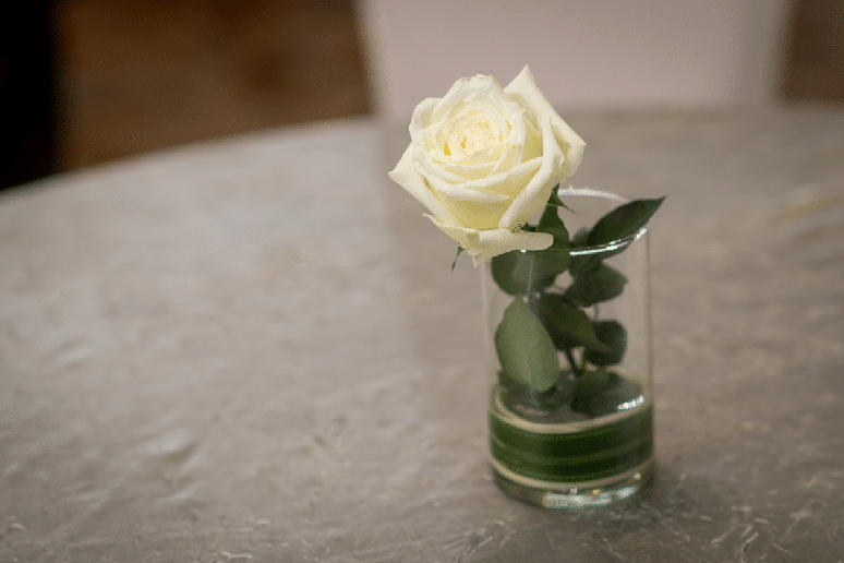 A rosa-branca simboliza a paz e a renova&ccedil;&atilde;o emocional, ajudando a representar o encerramento de ciclos amorosos sem guardar m&aacute;goas do passado 