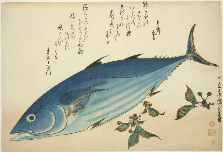 Pintura em aquarela de um peixe azul com escrita japonesa