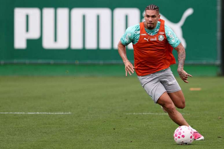 Paulinho durante atividade do Palmeiras nesta quinta-feira (15) &ndash;