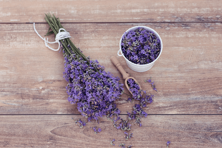 A lavanda simboliza tranquilidade e busca por momentos de paz interior 