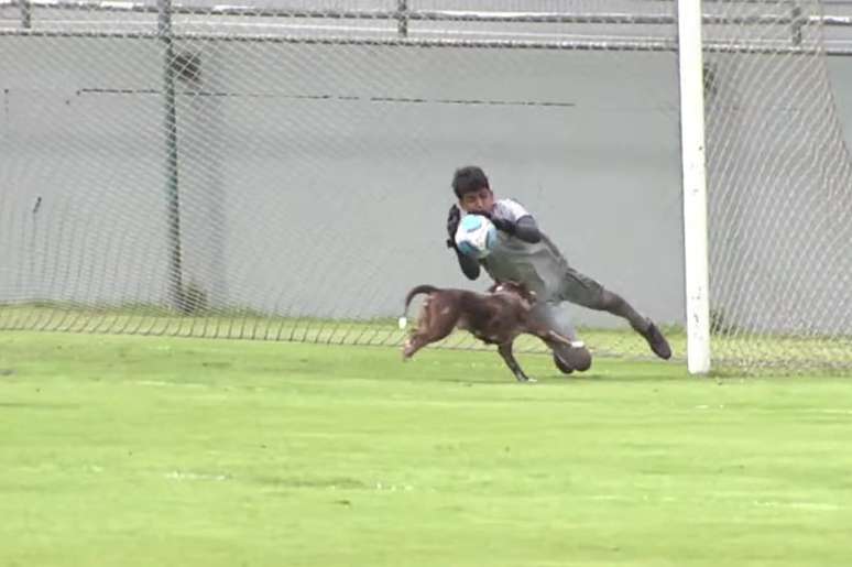 Apesar da cena inusitada, Vasco segurou o resultado e venceu o Madureira &ndash;