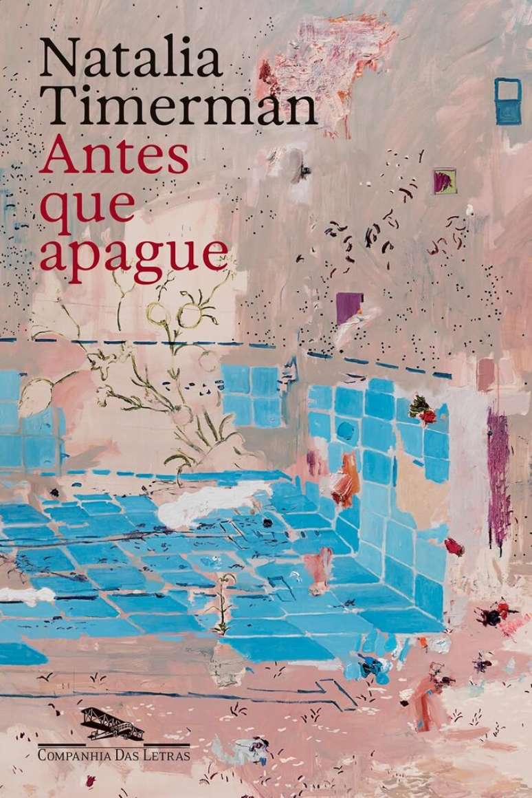 Capa do livro 'Antes que Apague', de Natalia Timerman