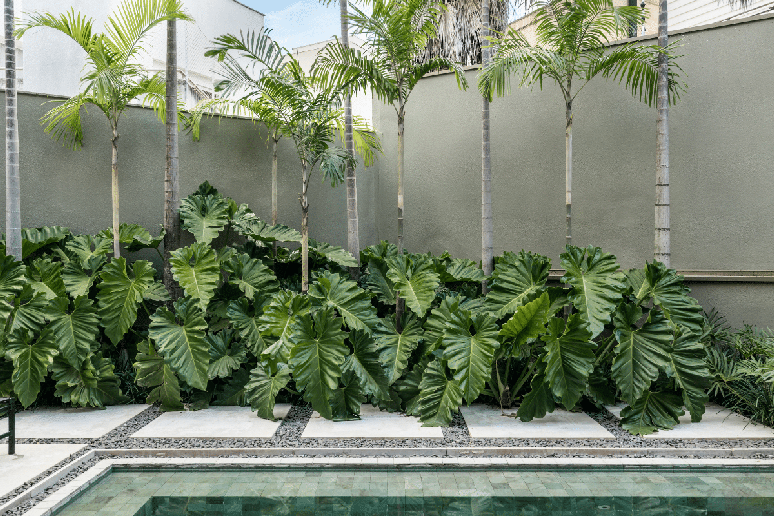 A combina&ccedil;&atilde;o de diferentes alturas e texturas ajuda a criar profundidade e equil&iacute;brio visual no jardim 
