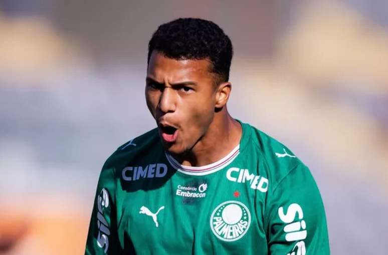 Palmeiras tem feito grandes apresenta&ccedil;&otilde;es na base &ndash;