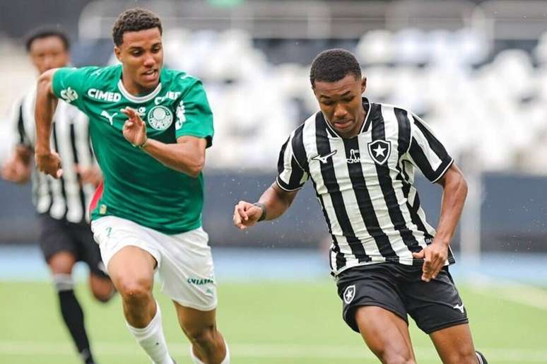 Botafogo n&atilde;o foi p&aacute;reo para o Palmeiras &ndash;