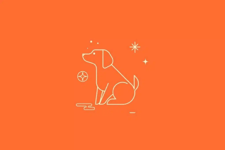 C&atilde;o buscar&aacute; rela&ccedil;&otilde;es mais equilibradas e precisar&aacute; valorizar a reciprocidade e a confian&ccedil;a 