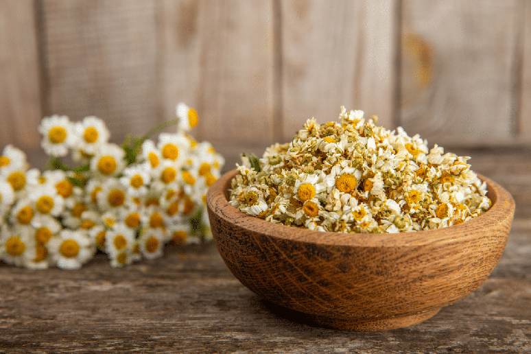 O ritual inclui a devolu&ccedil;&atilde;o das flores &agrave; natureza ap&oacute;s o per&iacute;odo de espera indicado 