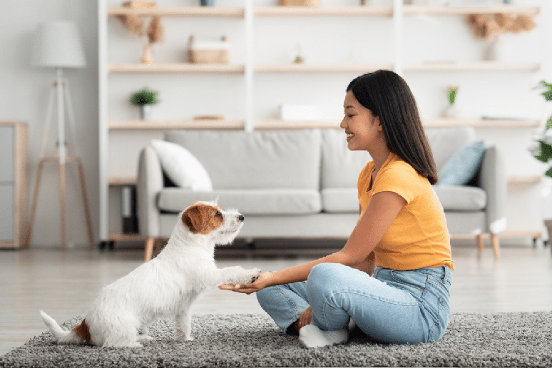 Ensinar comandos ajuda a direcionar o comportamento do cachorro 