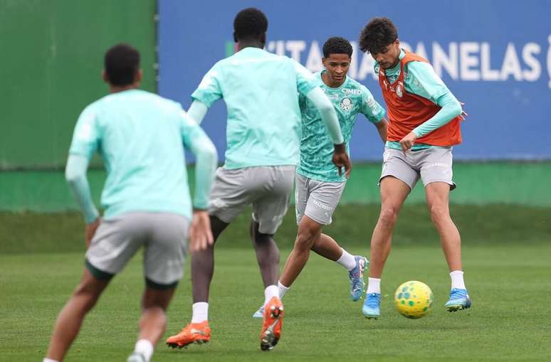 Palmeiras recebe o Vasco no pr&oacute;ximo domingo pela Copa do Brasil &ndash;
