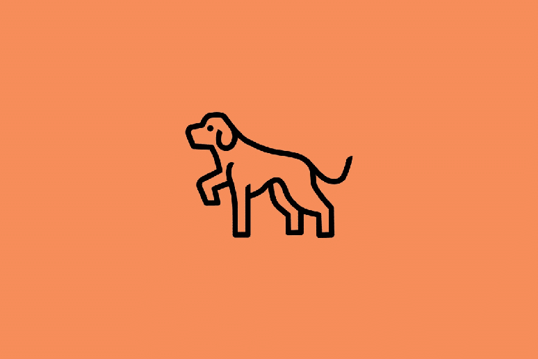 As a&ccedil;&otilde;es dos nativos do C&atilde;o tender&atilde;o a ser mais assertivas 
