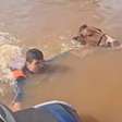 Vice-prefeito de cidade gaúcha ajuda a resgatar cavalo de enchente; veja