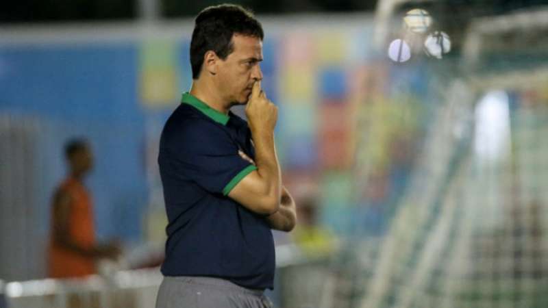 Resultado de imagem para FERNANDO DINIZ FLUMINENSE