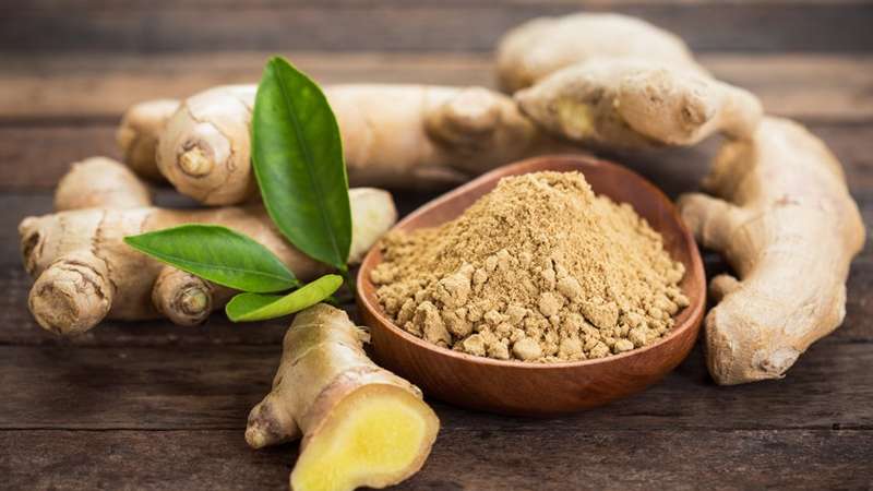 Beneficios Do Gengibre Conheca O Poder Medicinal Dessa Raiz